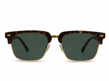 EYRA SERA – Havana Tortoise & Gold with Brown Polarized Lenses
